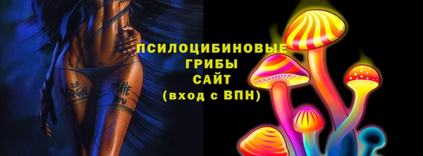 mix Богородицк